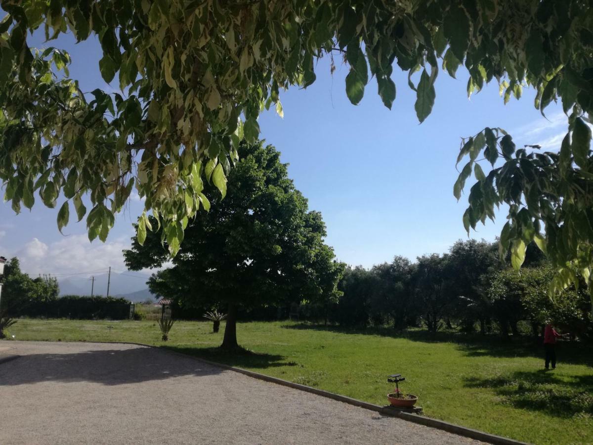 B&B Villa Napoli Battipaglia Exterior photo